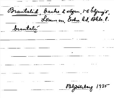 Bild på arkivkortet för arkivposten Brantalid