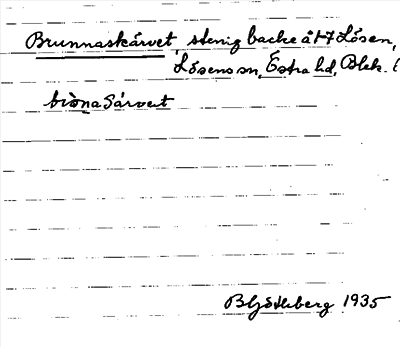 Bild på arkivkortet för arkivposten Brunnaskärvet