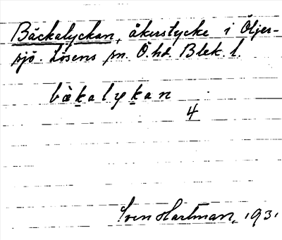 Bild på arkivkortet för arkivposten Bäckalyckan