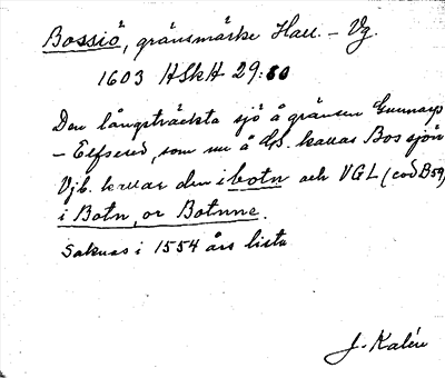 Bild på arkivkortet för arkivposten Bossiö