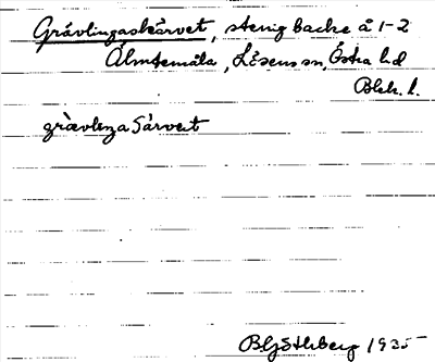 Bild på arkivkortet för arkivposten Grävlingaskärvet