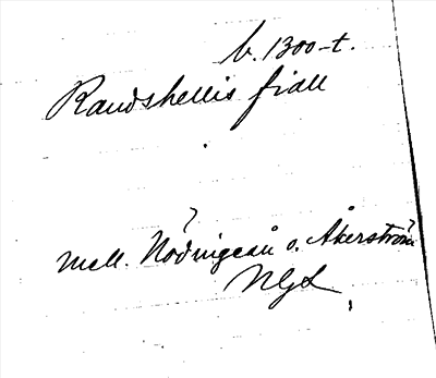 Bild på arkivkortet för arkivposten Raudshellis fiall