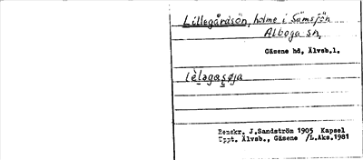 Bild på arkivkortet för arkivposten Lillegårdsön