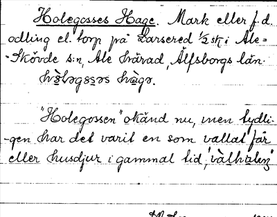 Bild på arkivkortet för arkivposten Holegosses Hage