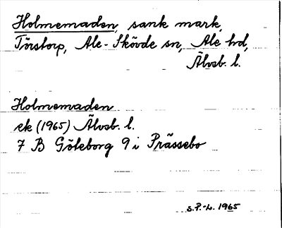 Bild på arkivkortet för arkivposten Holmemaden