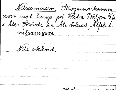 Bild på arkivkortet för arkivposten Nilsamossen