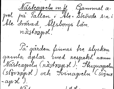 Bild på arkivkortet för arkivposten Nästeapeln m.fl.