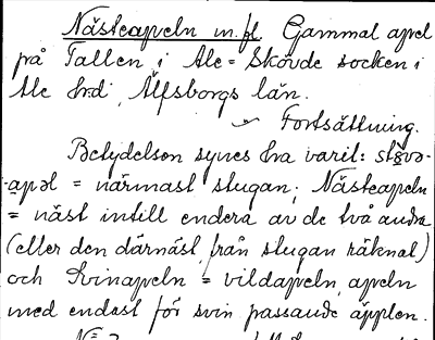 Bild på arkivkortet för arkivposten Nästeapeln m.fl.