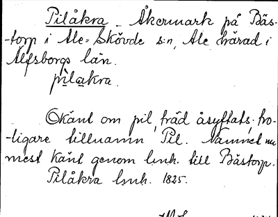 Bild på arkivkortet för arkivposten Pilåkra