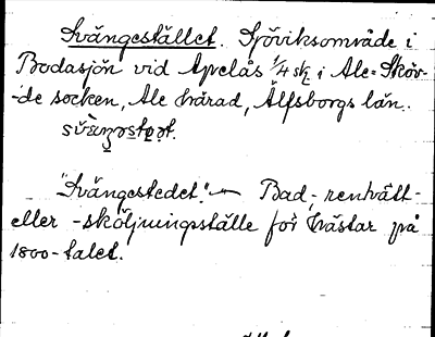 Bild på arkivkortet för arkivposten Svängestället