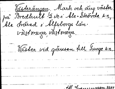 Bild på arkivkortet för arkivposten Västerängen