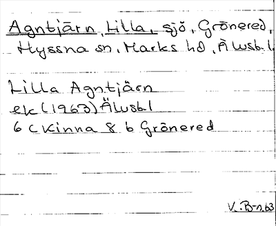 Bild på arkivkortet för arkivposten Agntjärn, Lilla
