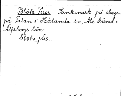 Bild på arkivkortet för arkivposten Blöte Puss