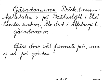 Bild på arkivkortet för arkivposten Gåsadammen