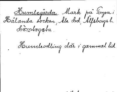 Bild på arkivkortet för arkivposten Humlegårda