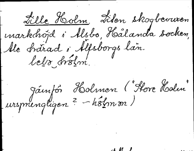 Bild på arkivkortet för arkivposten Lilla Holm