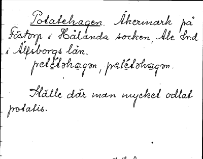 Bild på arkivkortet för arkivposten Potatehagen