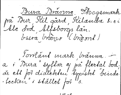 Bild på arkivkortet för arkivposten Bura Bränne