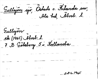 Bild på arkivkortet för arkivposten Gullsjön