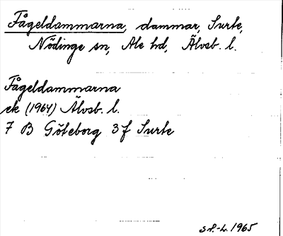 Bild på arkivkortet för arkivposten Fågeldammarna