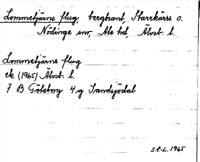 Bild på arkivkortet för arkivposten Lommetjärns flug