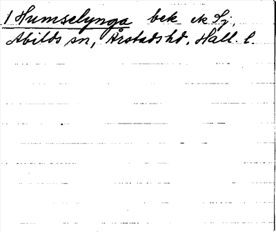 Bild på arkivkortet för arkivposten Humselynga