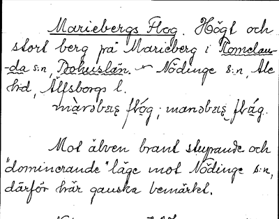Bild på arkivkortet för arkivposten Mariebergs Flog