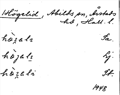 Bild på arkivkortet för arkivposten Högelid