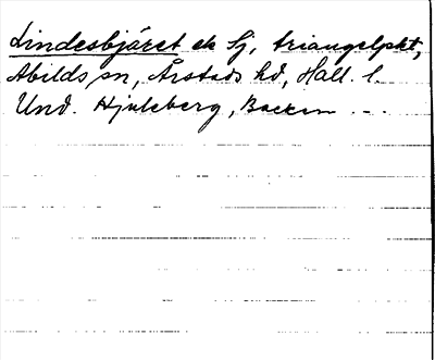 Bild på arkivkortet för arkivposten Lindesbjäret