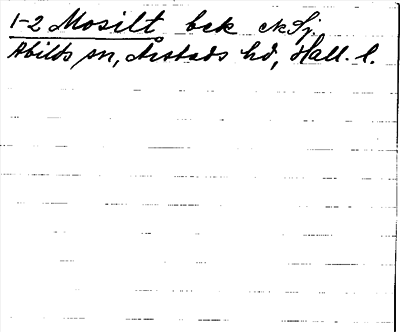 Bild på arkivkortet för arkivposten Mosilt