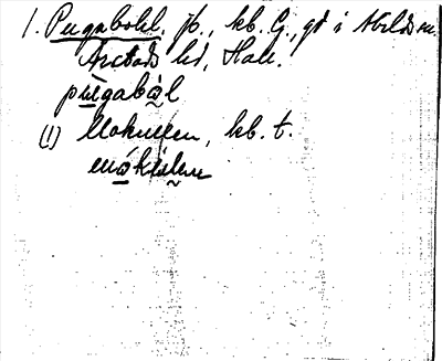 Bild på arkivkortet för arkivposten Pugabohl