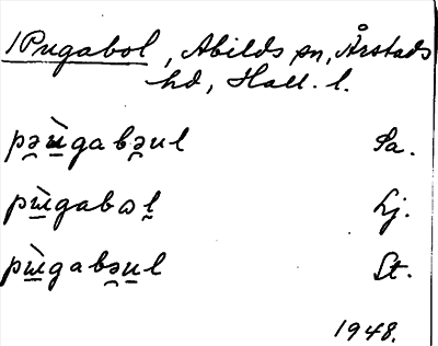 Bild på arkivkortet för arkivposten Pugabol