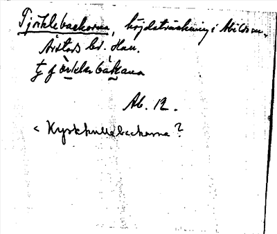 Bild på arkivkortet för arkivposten Tjörklebackorna