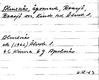 Bild på arkivkortet för arkivposten Almenäs