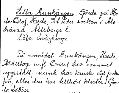 Bild på arkivkortet för arkivposten Lilla Munkängen