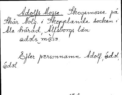 Bild på arkivkortet för arkivposten Adolfs Mosse