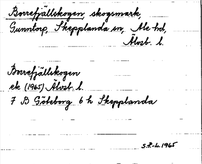 Bild på arkivkortet för arkivposten Borrefjällskogen