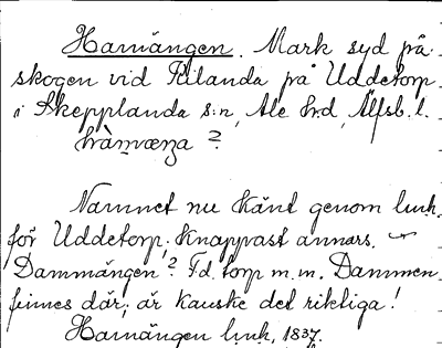Bild på arkivkortet för arkivposten Hamängen
