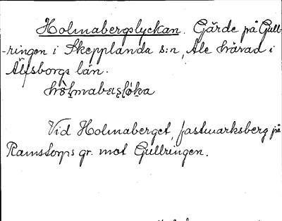 Bild på arkivkortet för arkivposten Holmabergslyckan