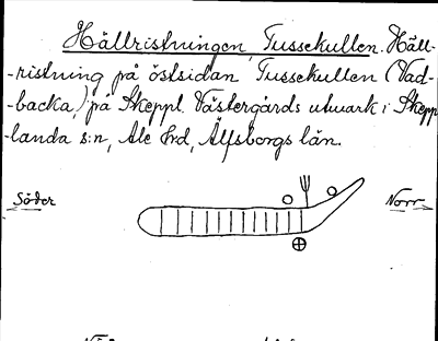Bild på arkivkortet för arkivposten Hällristningen, Tussekullen