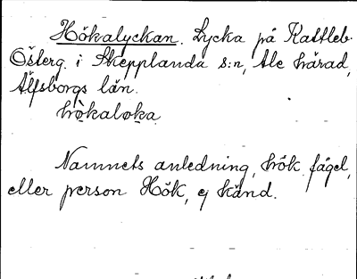 Bild på arkivkortet för arkivposten Hökalyckan