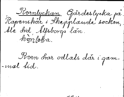Bild på arkivkortet för arkivposten Kornlyckan
