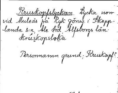 Bild på arkivkortet för arkivposten Kruskopfslyckan