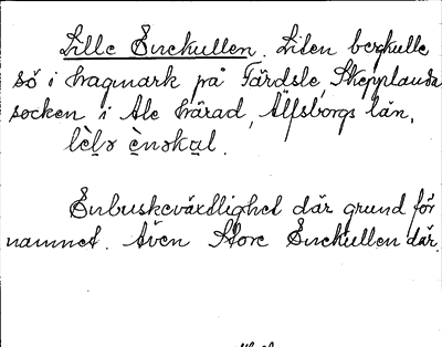 Bild på arkivkortet för arkivposten Lille Enekullen