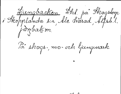 Bild på arkivkortet för arkivposten Ljungbacken