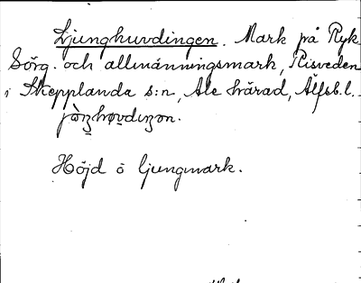 Bild på arkivkortet för arkivposten Ljunghuvdingen