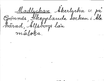 Bild på arkivkortet för arkivposten Madlyckan
