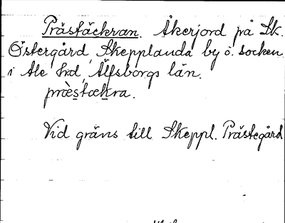 Bild på arkivkortet för arkivposten Prästäckran