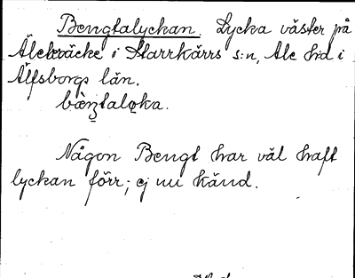 Bild på arkivkortet för arkivposten Bengtalyckan