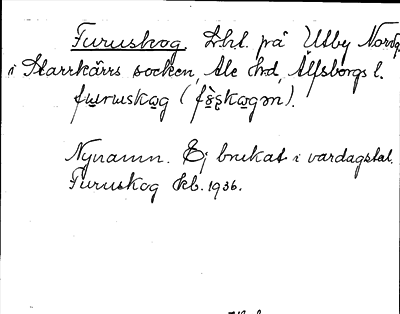 Bild på arkivkortet för arkivposten Furuskog